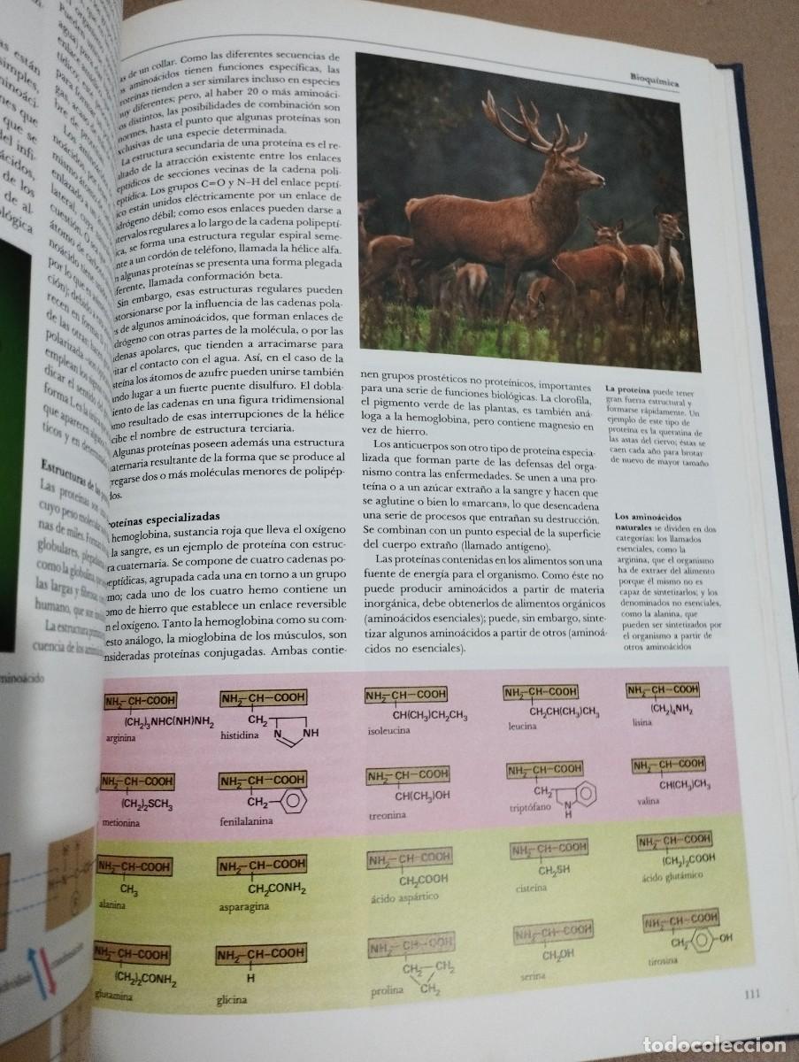 Libros de segunda mano de ciencias: QU&Iacute;MICA. ELEMENTOS, MOL&Eacute;CULAS, VIDA (C&Iacute;RCULO DE LECTORES) - Foto 6