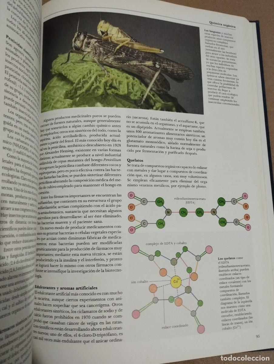 Libros de segunda mano de ciencias: QU&Iacute;MICA. ELEMENTOS, MOL&Eacute;CULAS, VIDA (C&Iacute;RCULO DE LECTORES) - Foto 7