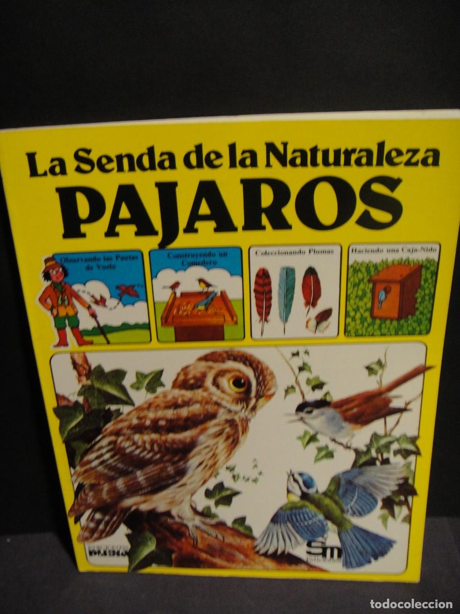 Libros de segunda mano: la senda de la naturaleza - pajaros - Foto 1