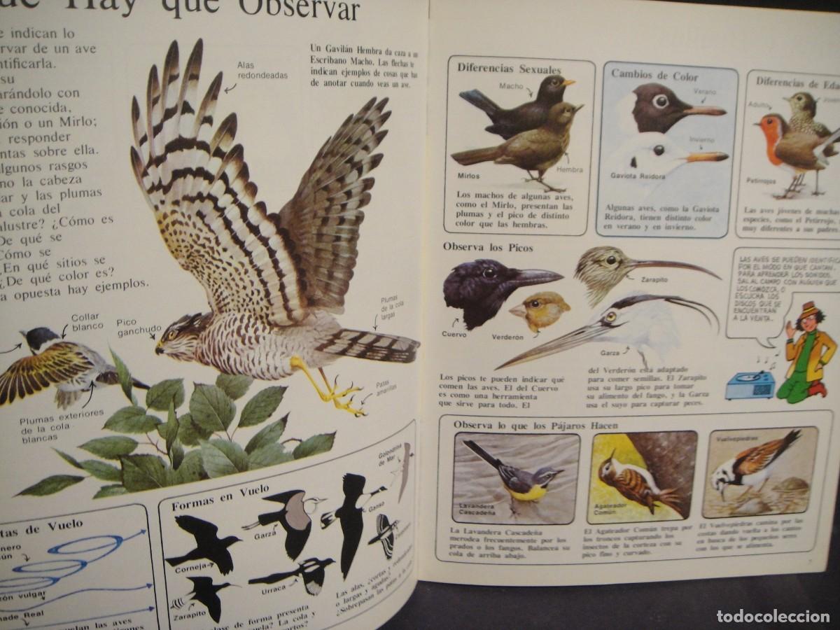 Libros de segunda mano: la senda de la naturaleza - pajaros - Foto 2