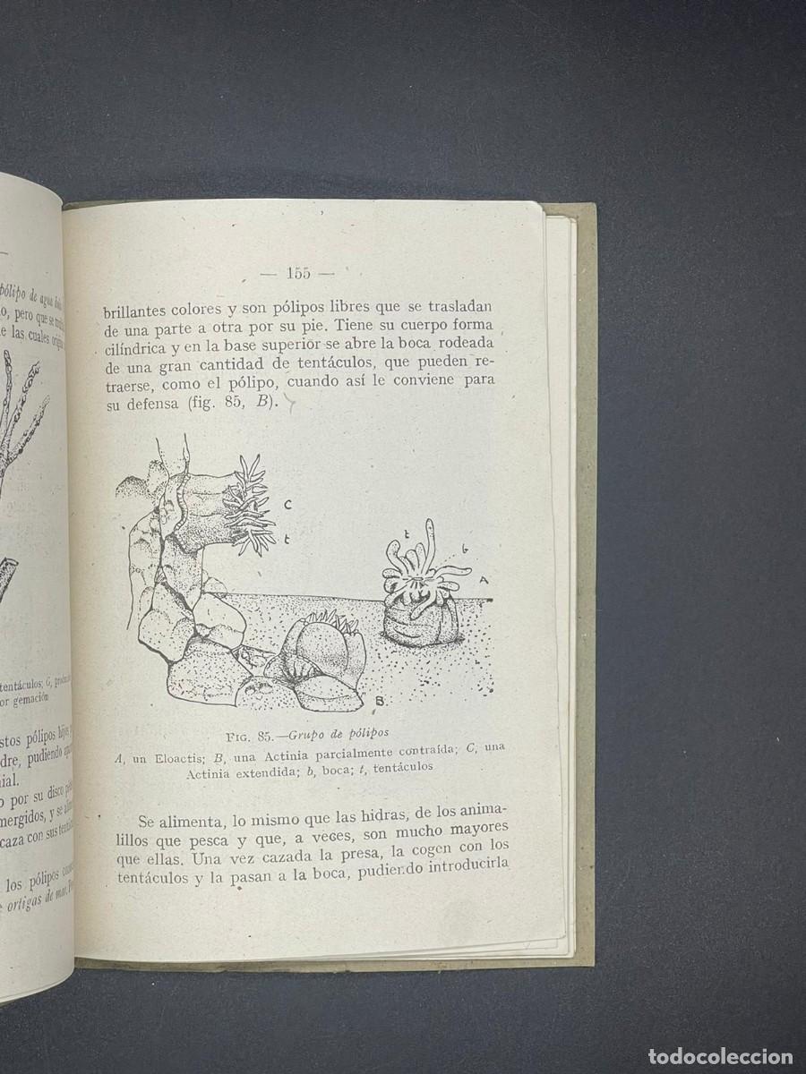 Libros de segunda mano: ANTIGUO LIBRO CIENCIAS COSMOL&Oacute;GICAS - CURSO 2&ordm; A&Ntilde;O 1951 - Foto 4