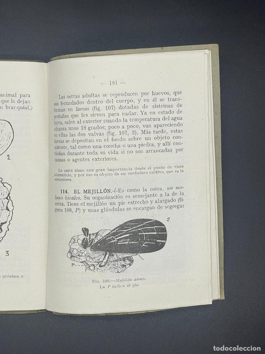 Libros de segunda mano: ANTIGUO LIBRO CIENCIAS COSMOL&Oacute;GICAS - CURSO 2&ordm; A&Ntilde;O 1951 - Foto 5