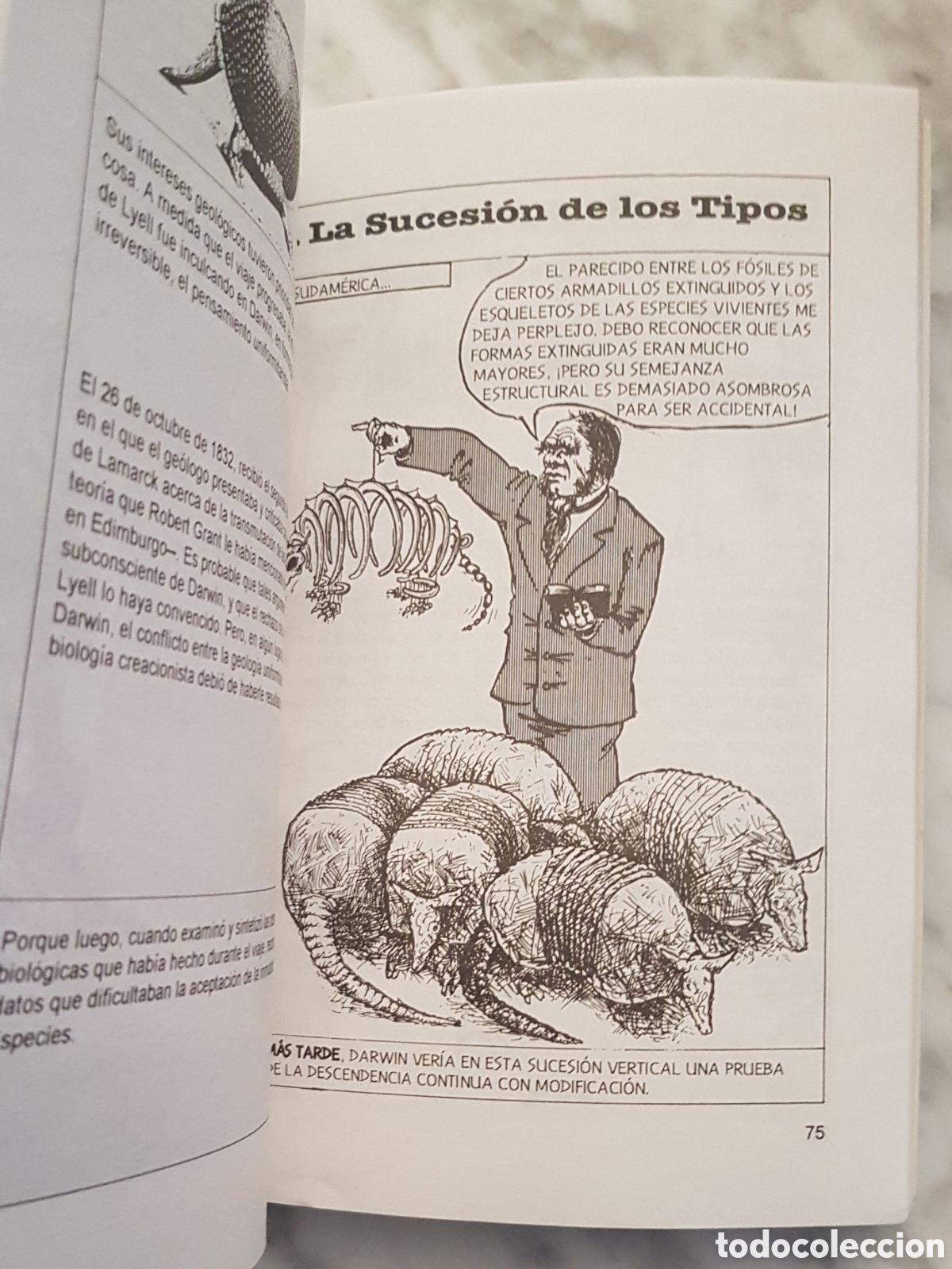 Libros de segunda mano: LIBRO DARWIN PARA PRINCIPIANTES .JONATHAN MILLER / BORIN VAN LOON . EVOLUCION - Foto 6