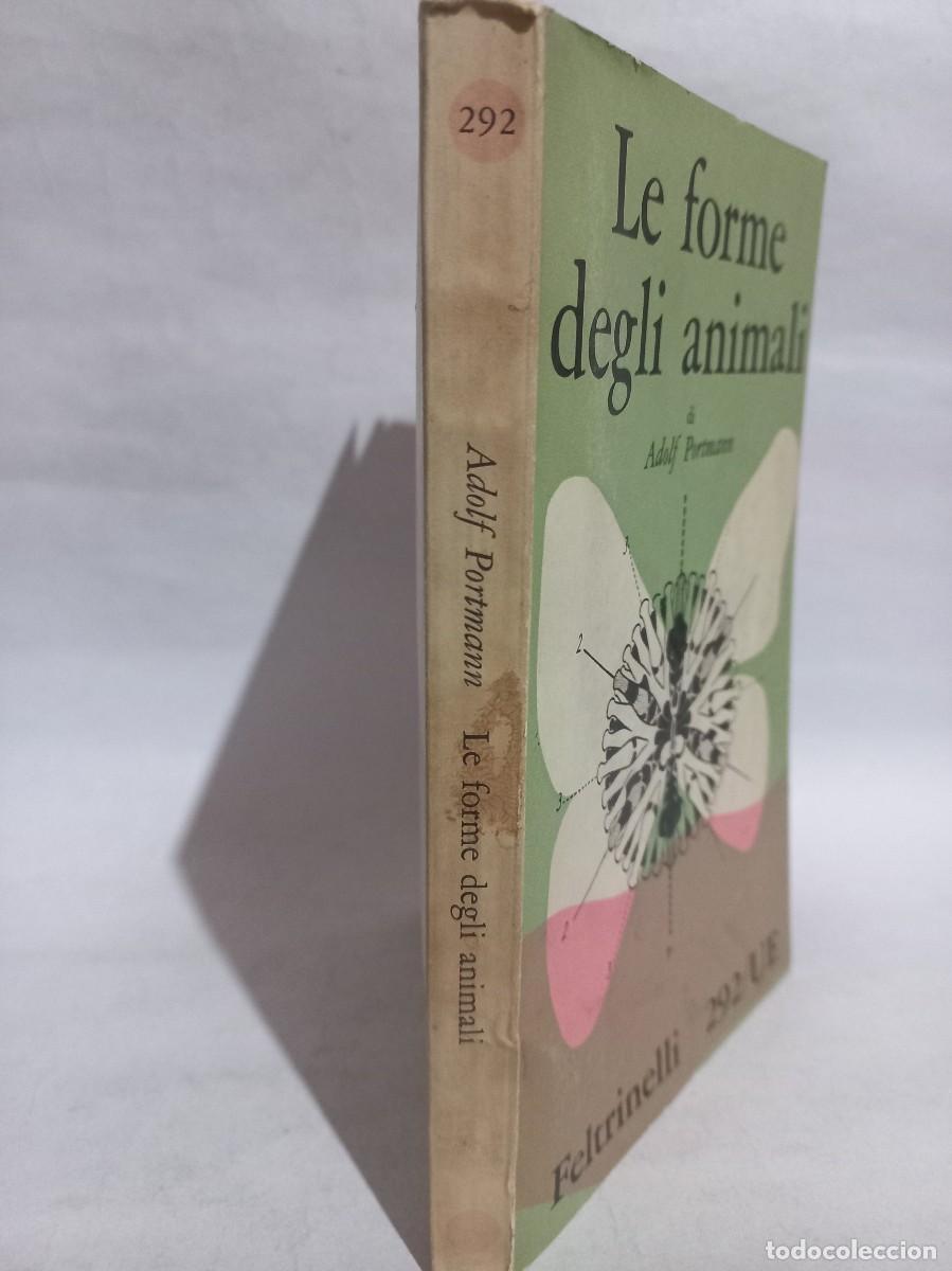 Libros de segunda mano: Adolf Portmann - Le Forme degli Animali - 1960 - Foto 2