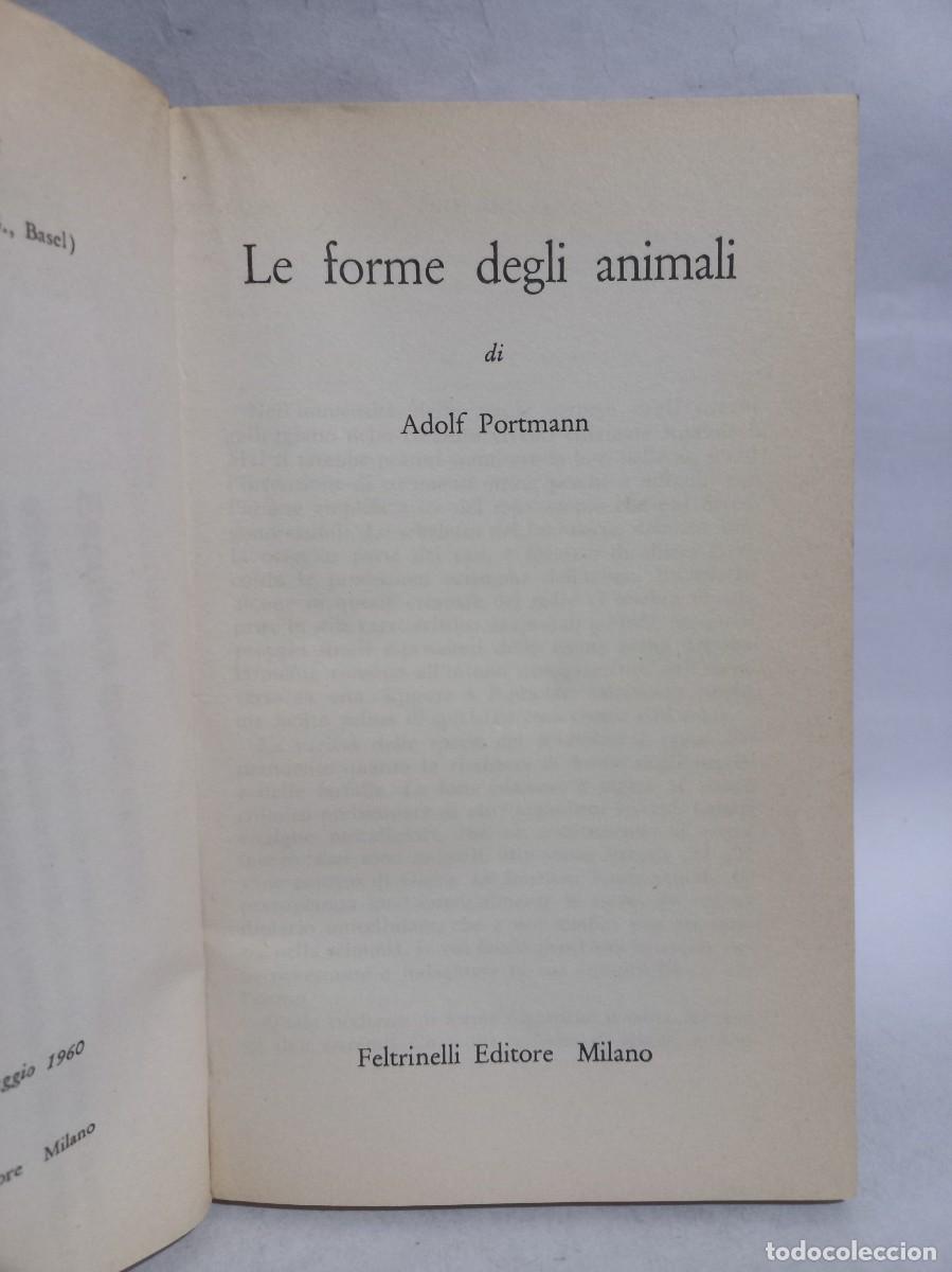 Libros de segunda mano: Adolf Portmann - Le Forme degli Animali - 1960 - Foto 3