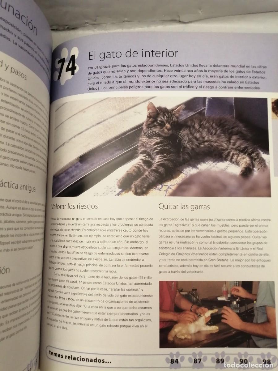 Libros de segunda mano: 100 MANERAS DE ENTENDER A SU GATO - Foto 5