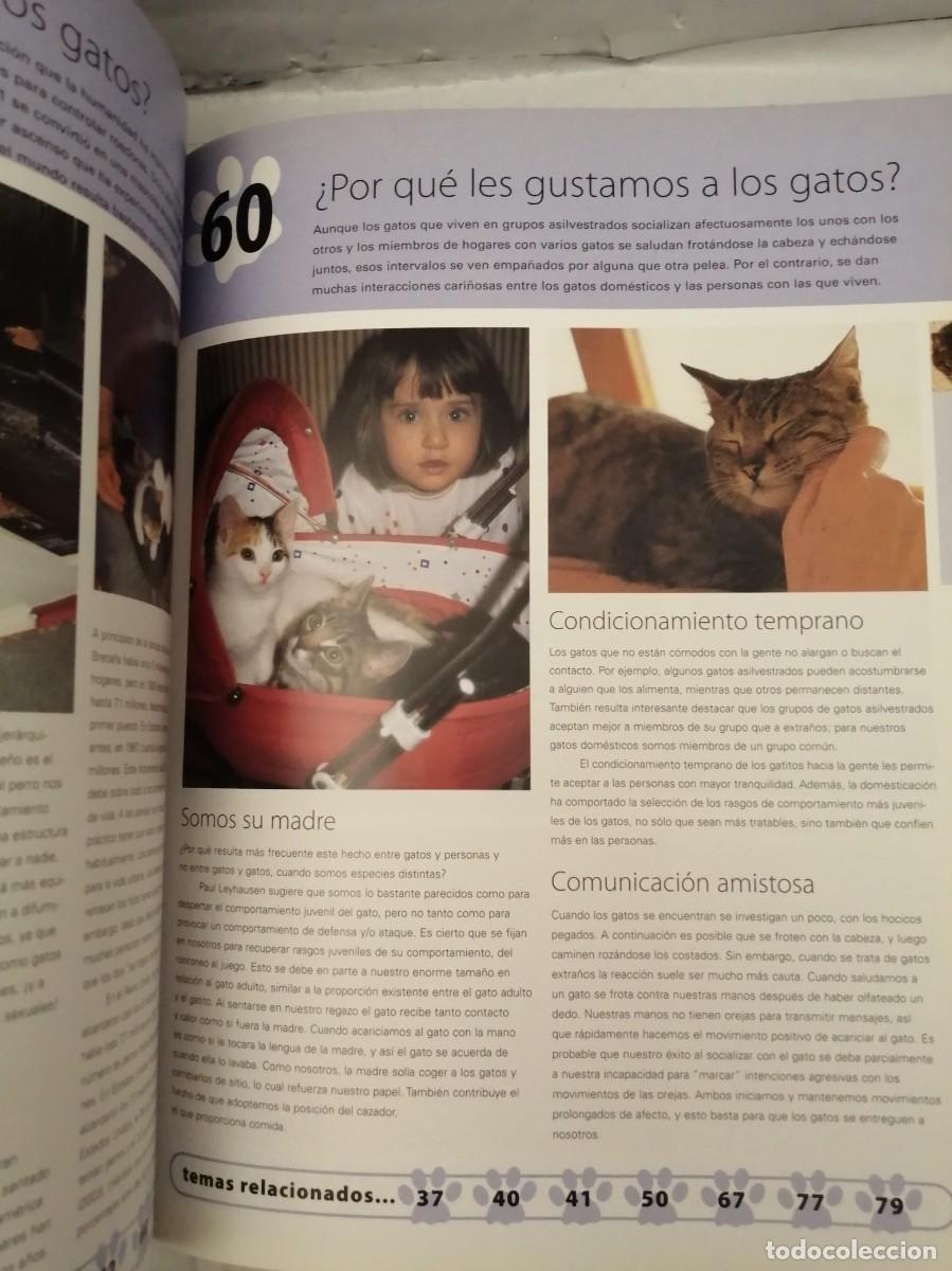 Libros de segunda mano: 100 MANERAS DE ENTENDER A SU GATO - Foto 6