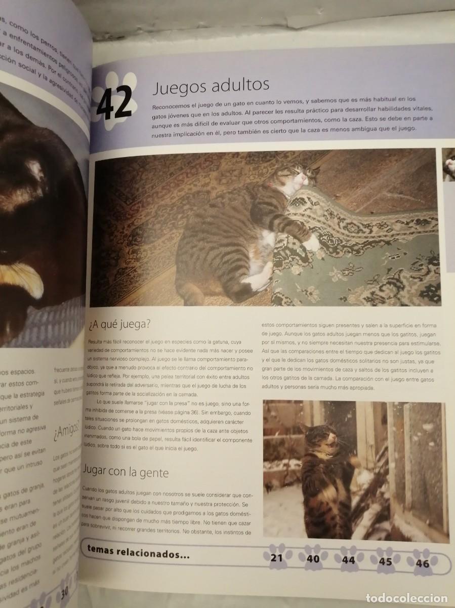 Libros de segunda mano: 100 MANERAS DE ENTENDER A SU GATO - Foto 7