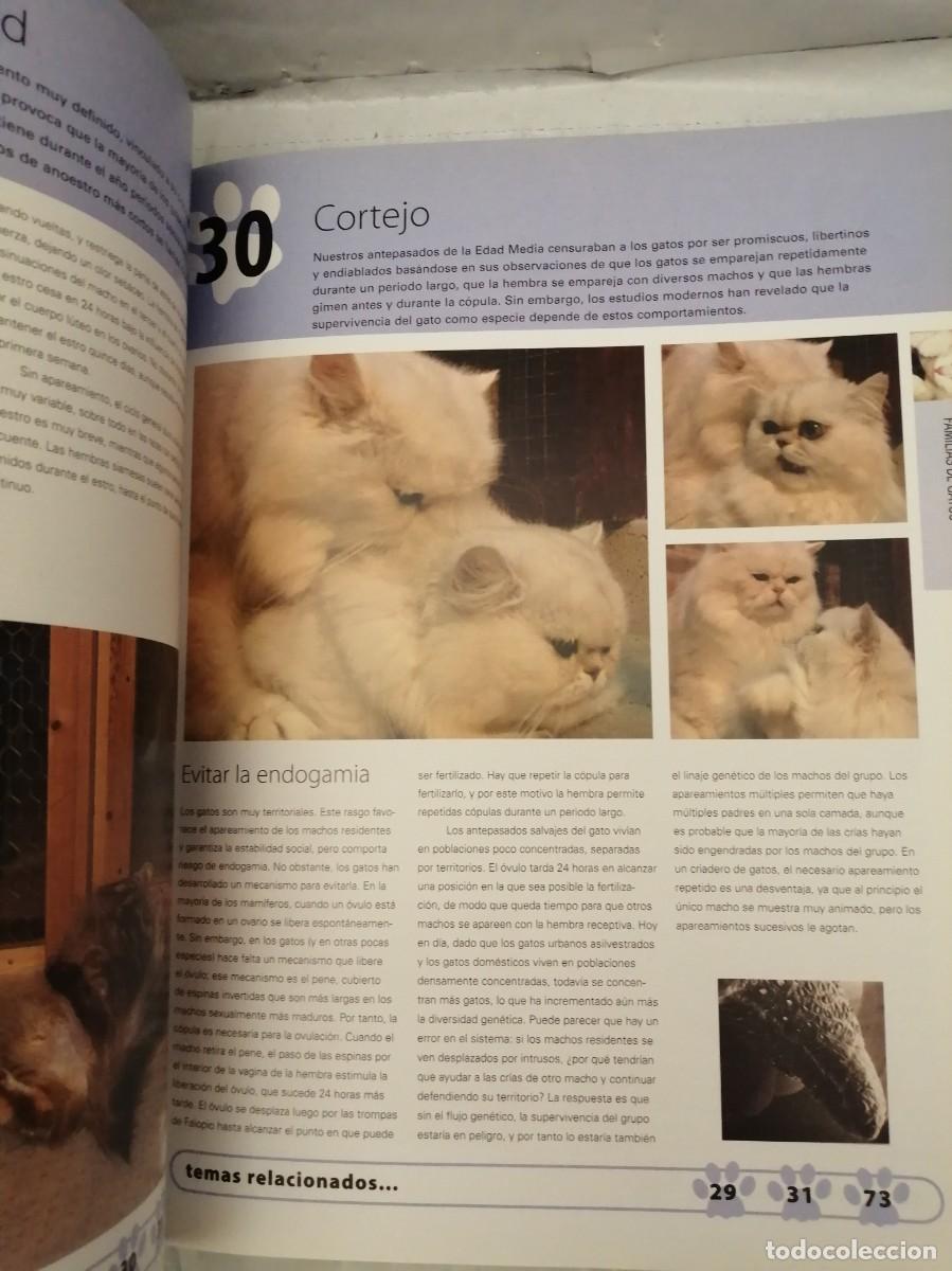 Libros de segunda mano: 100 MANERAS DE ENTENDER A SU GATO - Foto 8