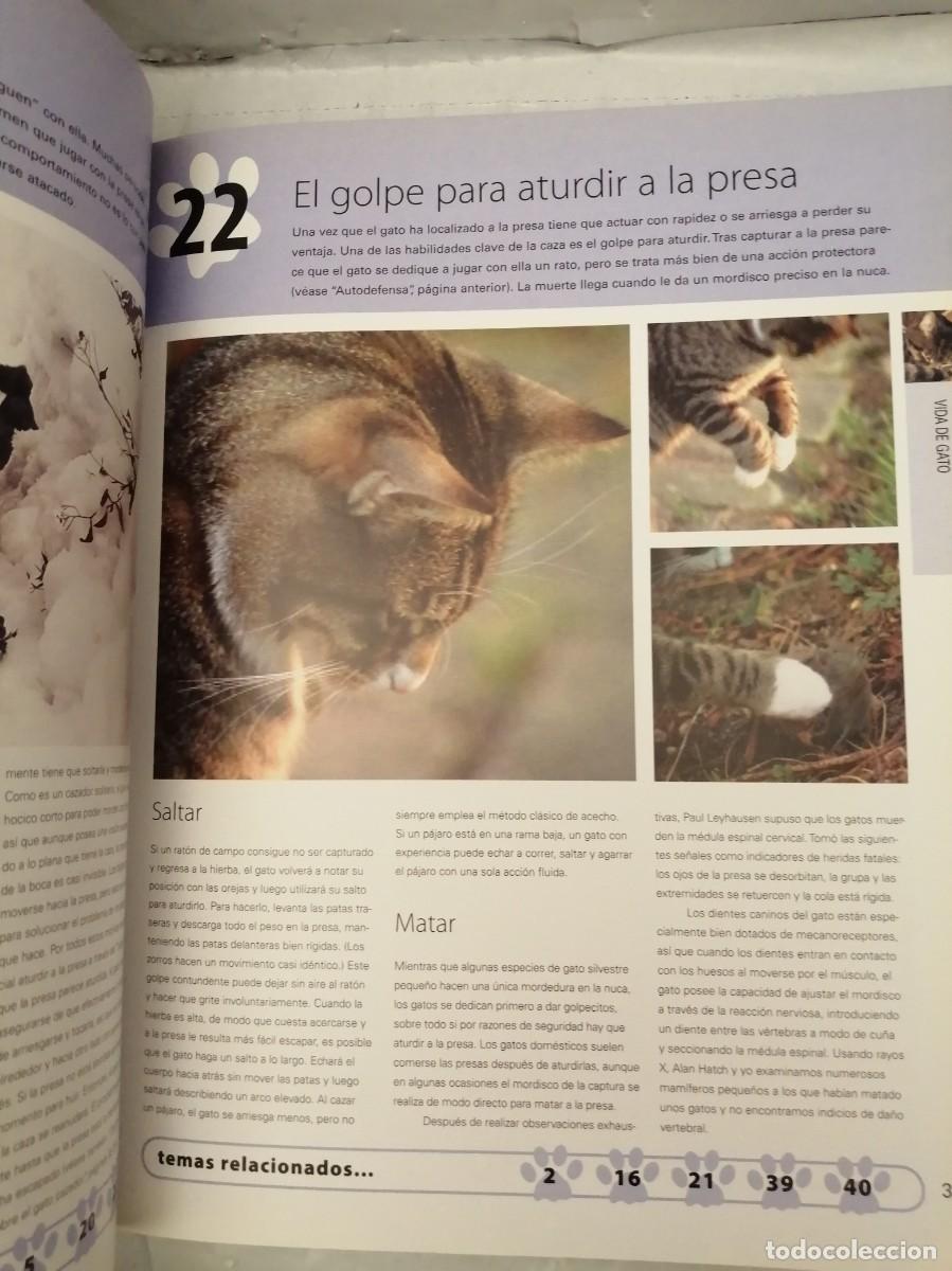 Libros de segunda mano: 100 MANERAS DE ENTENDER A SU GATO - Foto 9