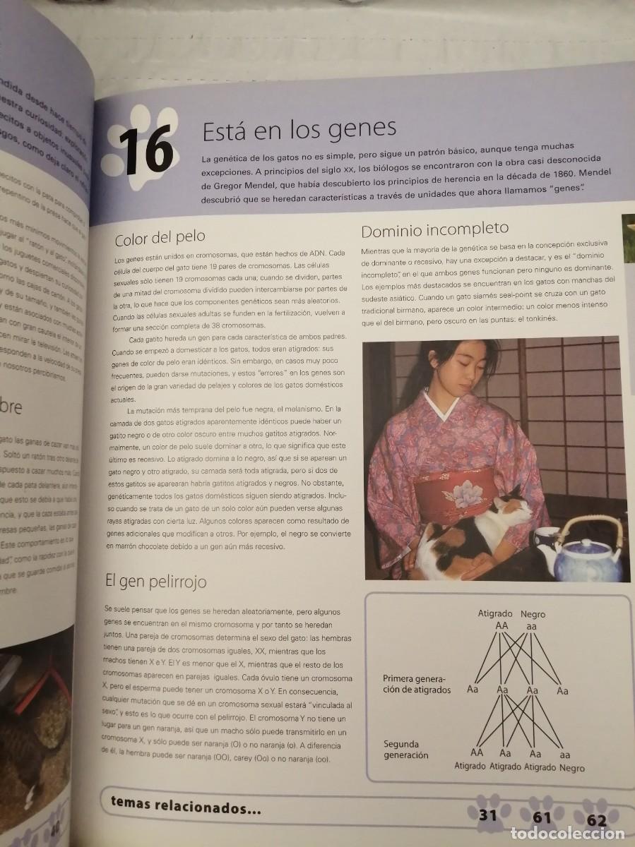Libros de segunda mano: 100 MANERAS DE ENTENDER A SU GATO - Foto 11