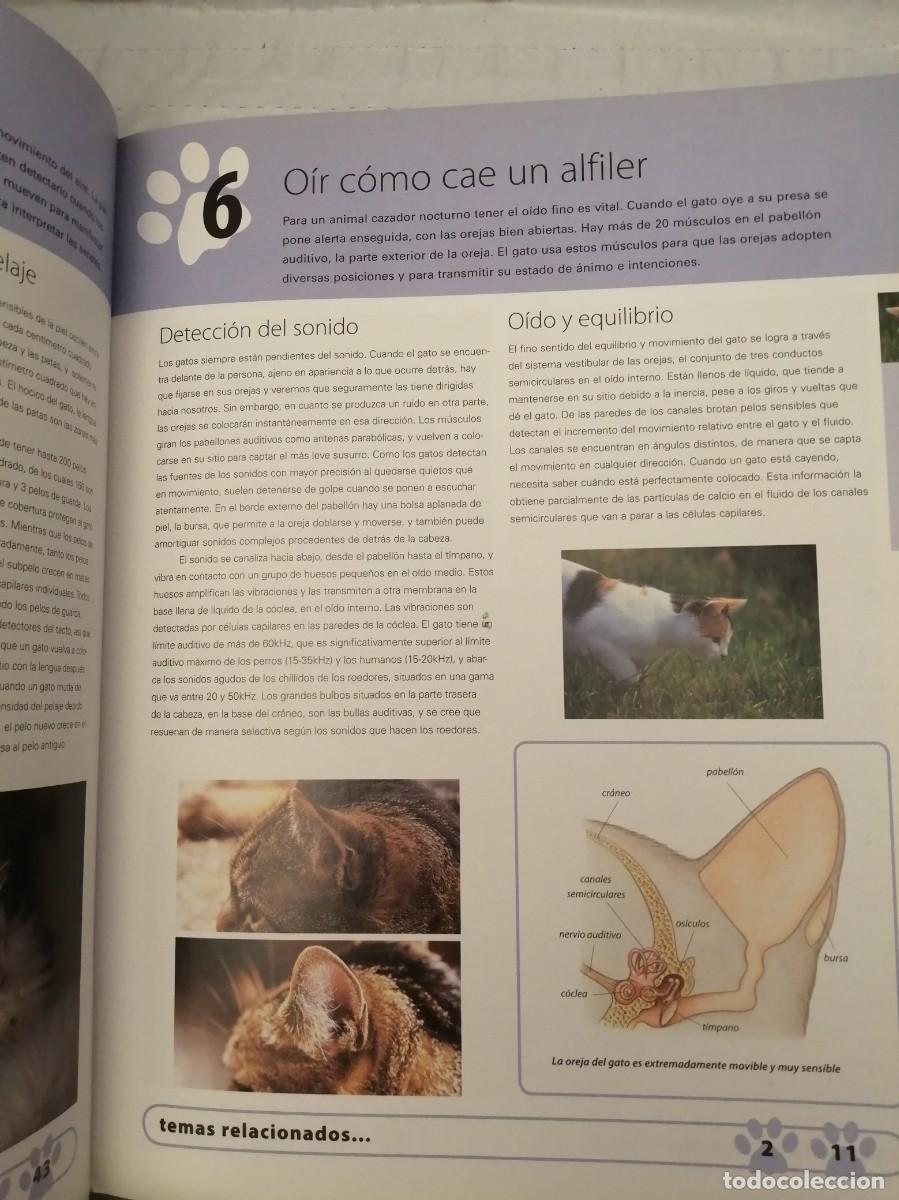 Libros de segunda mano: 100 MANERAS DE ENTENDER A SU GATO - Foto 12