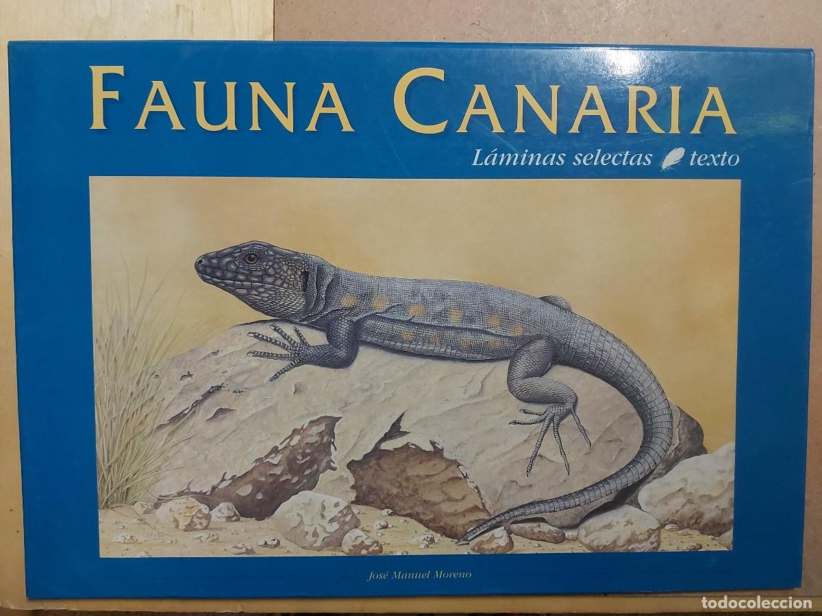 Libros de segunda mano: Fauna Canaria, 12 laminas selectas- JOSE MANUEL MORENO - Foto 1