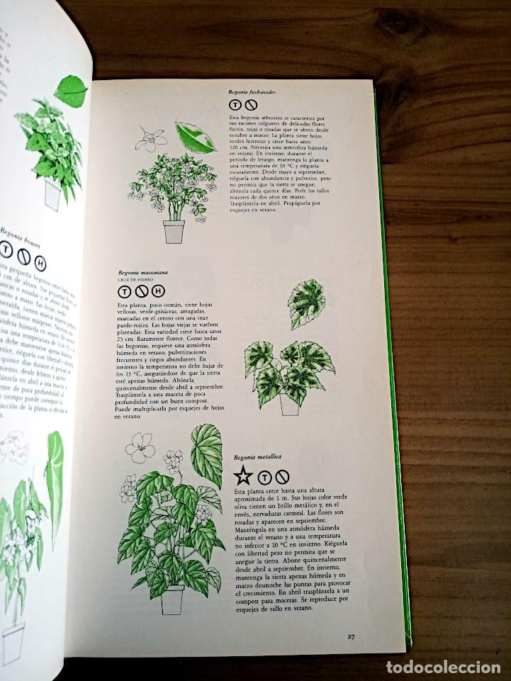 Libros de segunda mano: MANUAL PRACTICO DE PLANTAS DE INTERIOR. SEDDON GEORGE. CIRCULO DE LECTORES. ED. 1990 - Foto 9