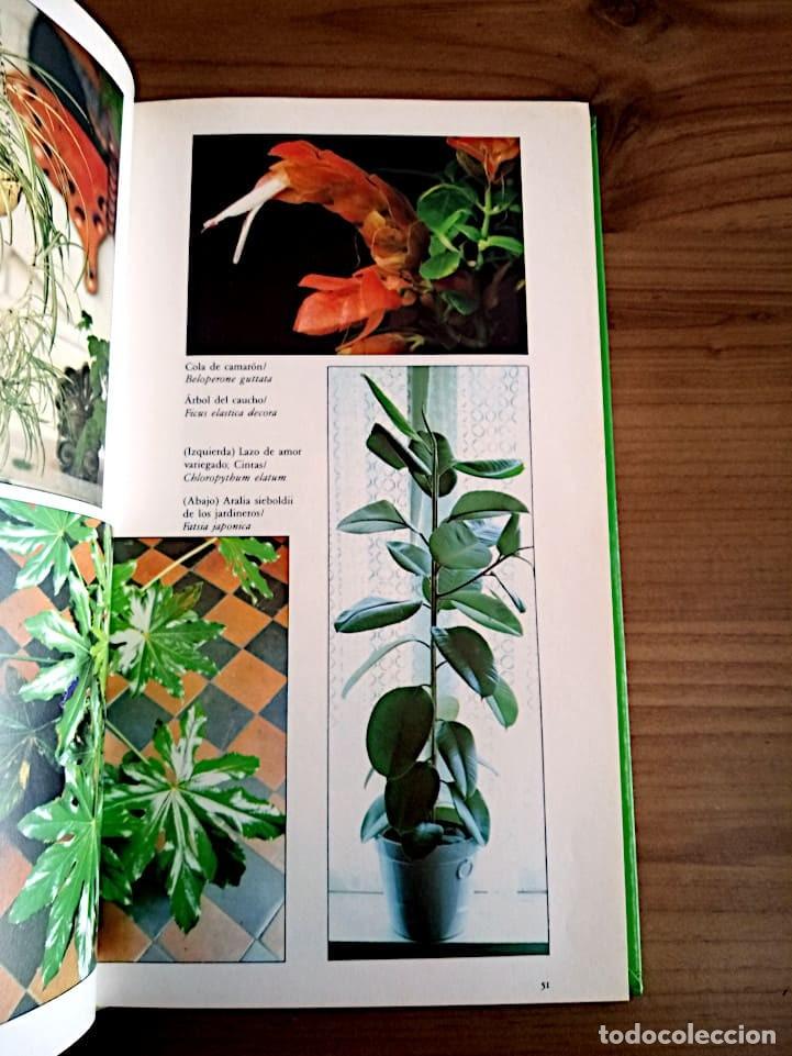 Libros de segunda mano: MANUAL PRACTICO DE PLANTAS DE INTERIOR. SEDDON GEORGE. CIRCULO DE LECTORES. ED. 1990 - Foto 11