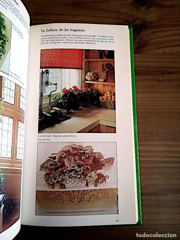 Libros de segunda mano: MANUAL PRACTICO DE PLANTAS DE INTERIOR. SEDDON GEORGE. CIRCULO DE LECTORES. ED. 1990 - Foto 15