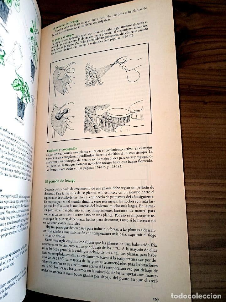 Libros de segunda mano: MANUAL PRACTICO DE PLANTAS DE INTERIOR. SEDDON GEORGE. CIRCULO DE LECTORES. ED. 1990 - Foto 14
