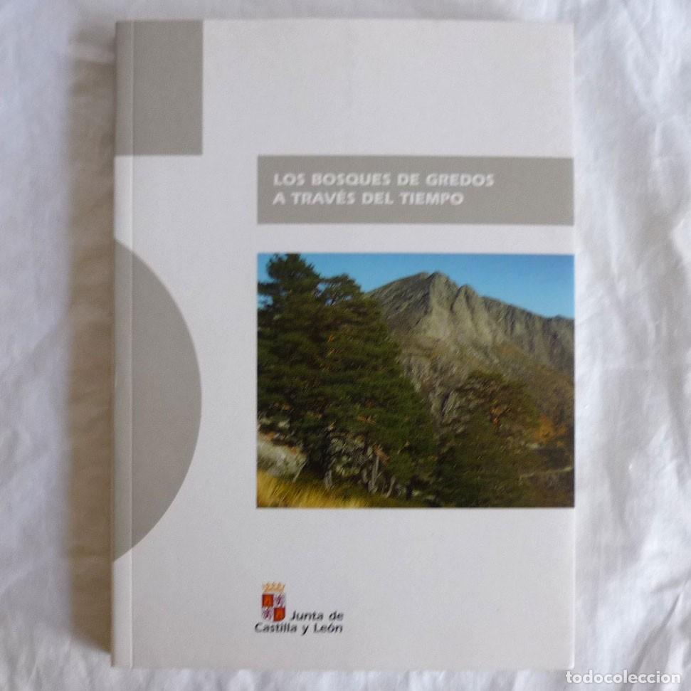 Libros de segunda mano: Los bosques de Gredos a trav&eacute;s del tiempo 2009 - Foto 1