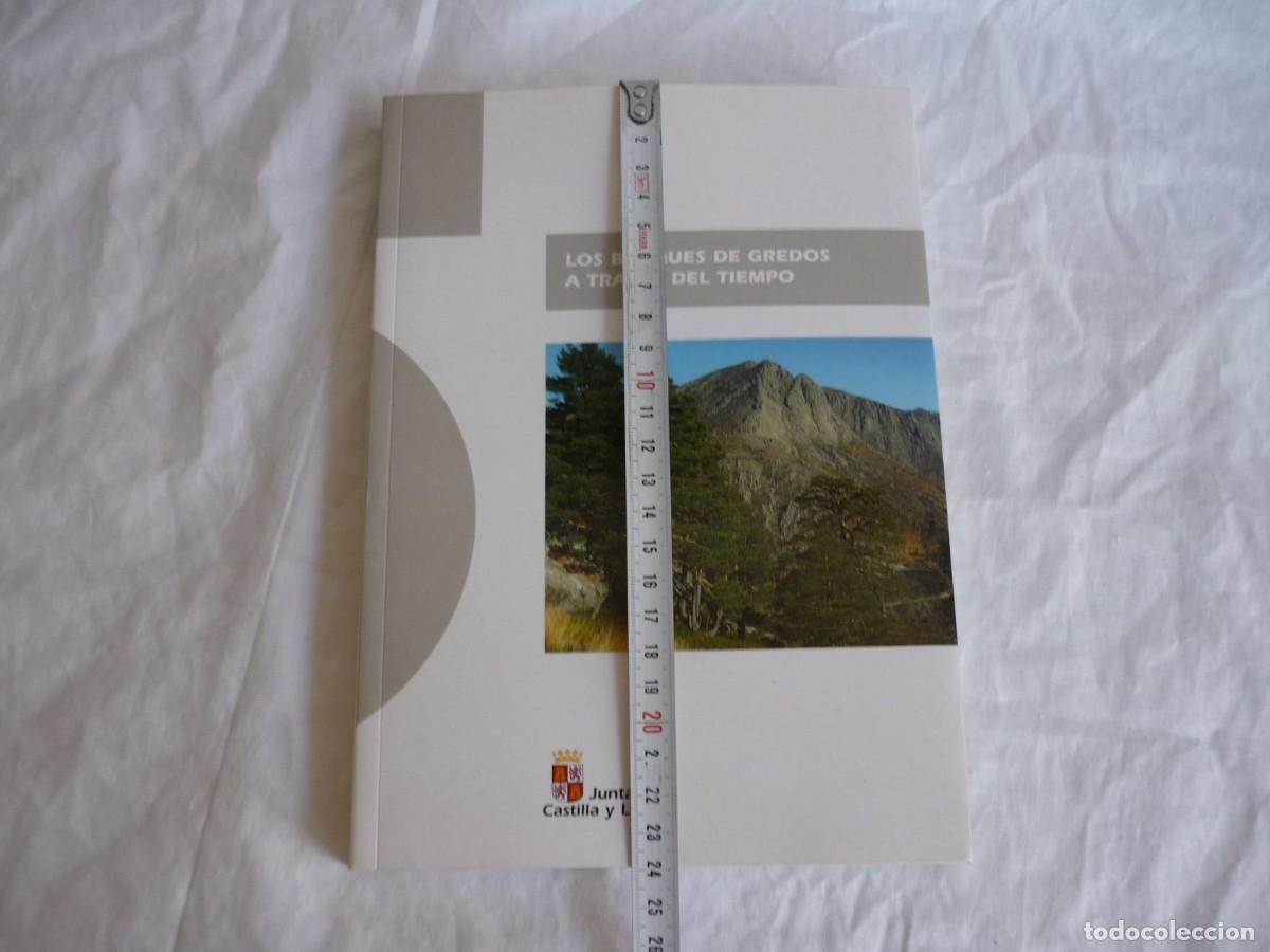 Libros de segunda mano: Los bosques de Gredos a trav&eacute;s del tiempo 2009 - Foto 4