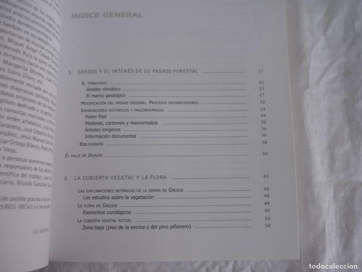Libros de segunda mano: Los bosques de Gredos a trav&eacute;s del tiempo 2009 - Foto 7