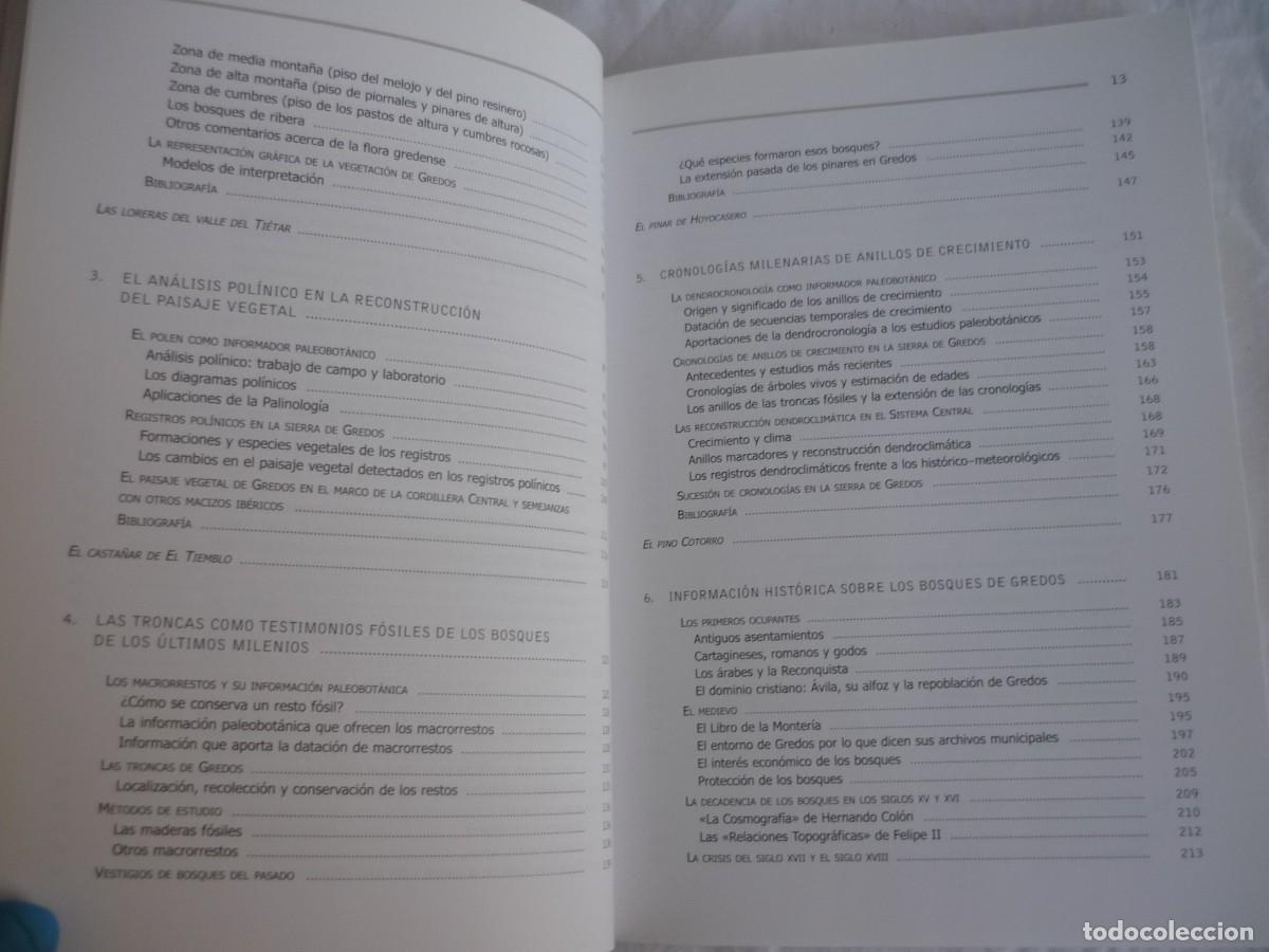 Libros de segunda mano: Los bosques de Gredos a trav&eacute;s del tiempo 2009 - Foto 8