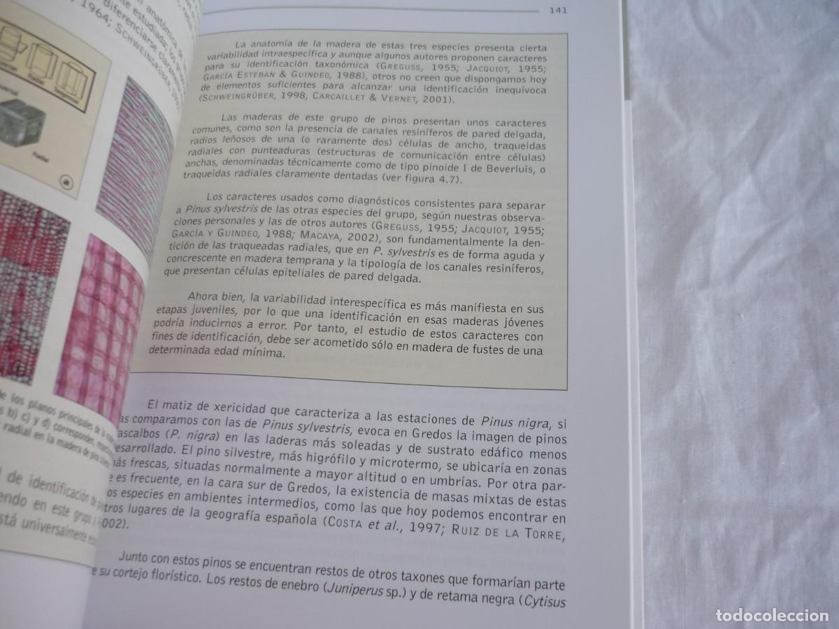Libros de segunda mano: Los bosques de Gredos a trav&eacute;s del tiempo 2009 - Foto 10