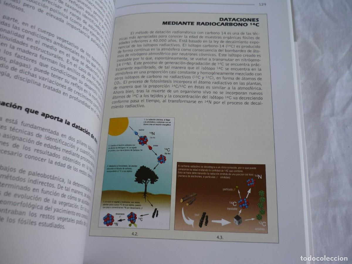 Libros de segunda mano: Los bosques de Gredos a trav&eacute;s del tiempo 2009 - Foto 11