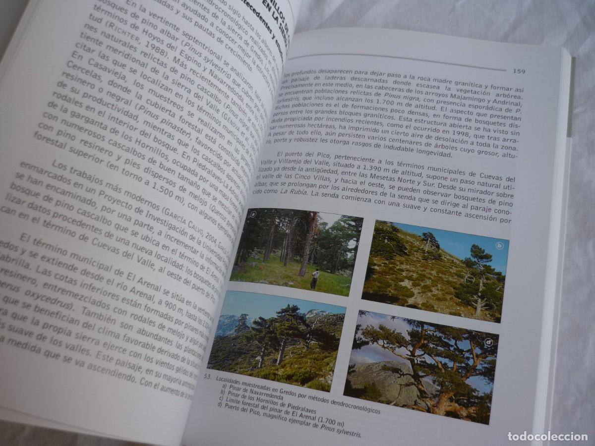 Libros de segunda mano: Los bosques de Gredos a trav&eacute;s del tiempo 2009 - Foto 12