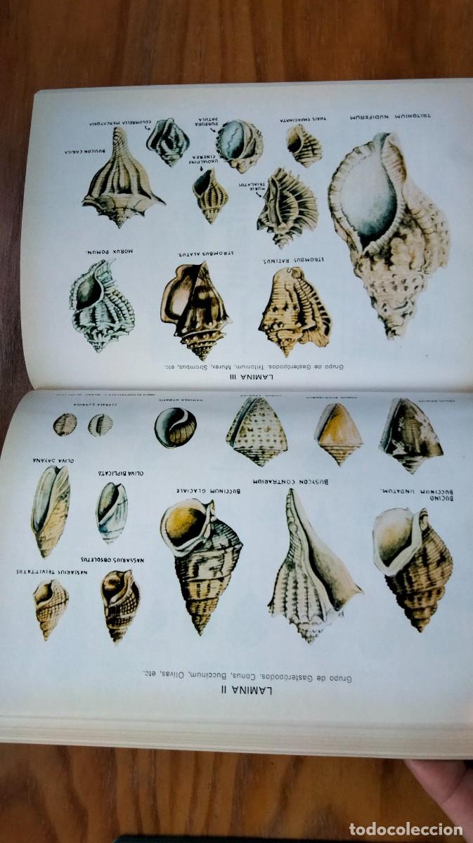 Libros de segunda mano: LOS MARISCOS &ndash; ROBERTO LOTINA BENGURIA - Foto 4