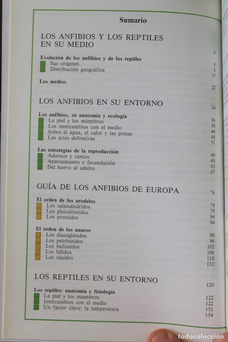 Libros de segunda mano: Bernard Le Garff - Los anfibios y los reptiles en su medio - Plural - Foto 4