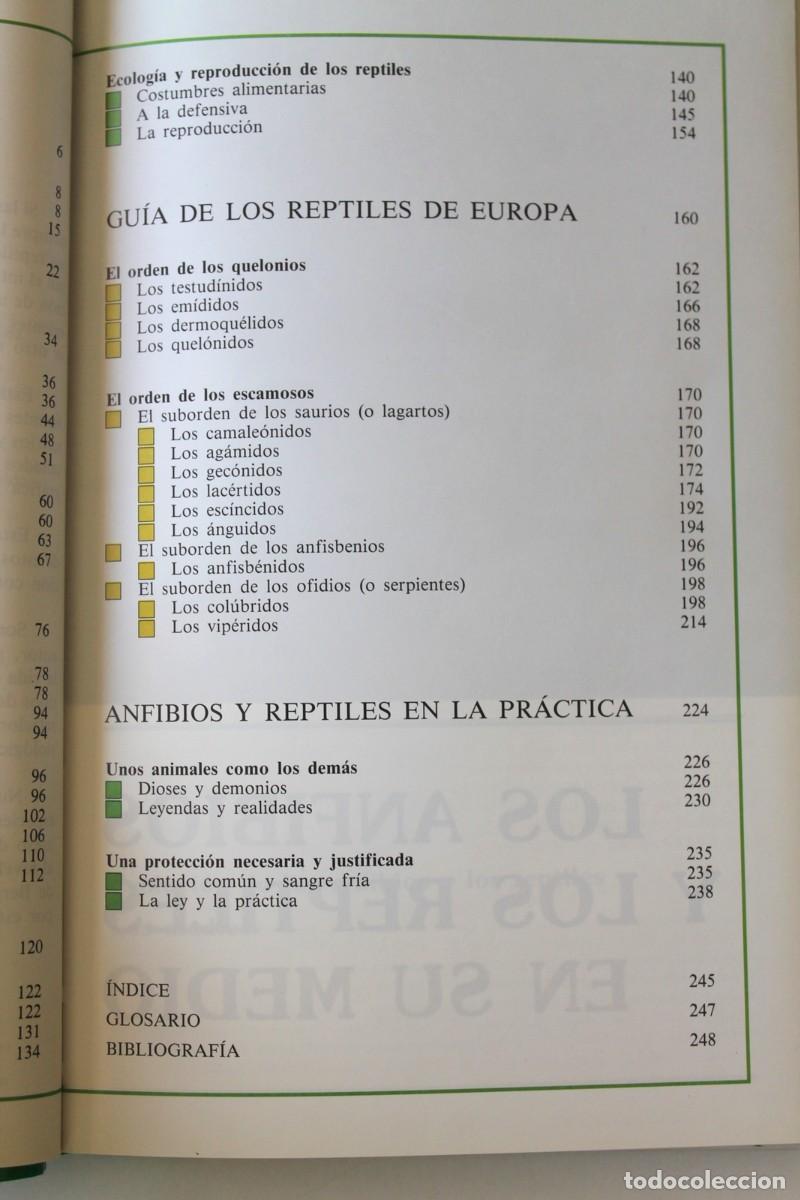 Libros de segunda mano: Bernard Le Garff - Los anfibios y los reptiles en su medio - Plural - Foto 5