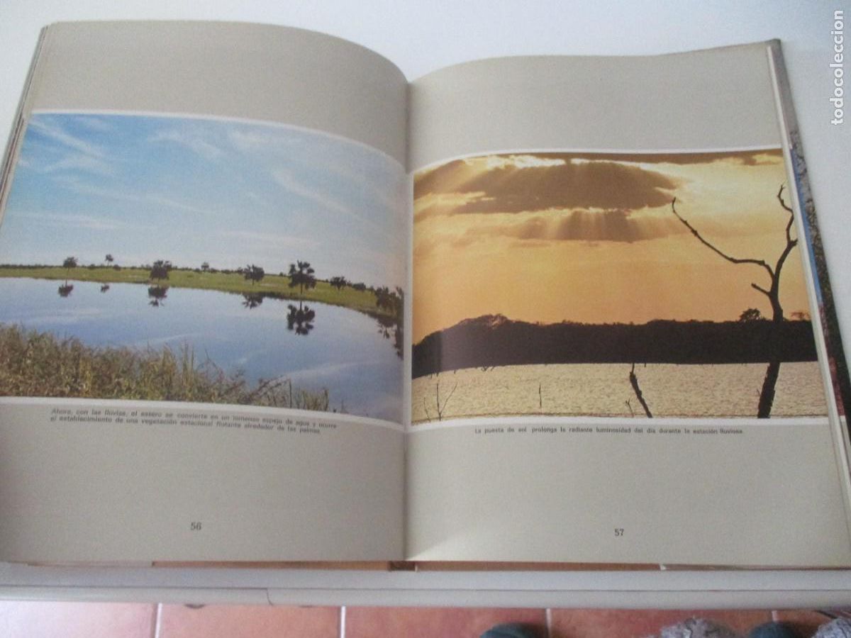 Libros de segunda mano: RICARDO MONTILLA El Tiano W17459 - Foto 4