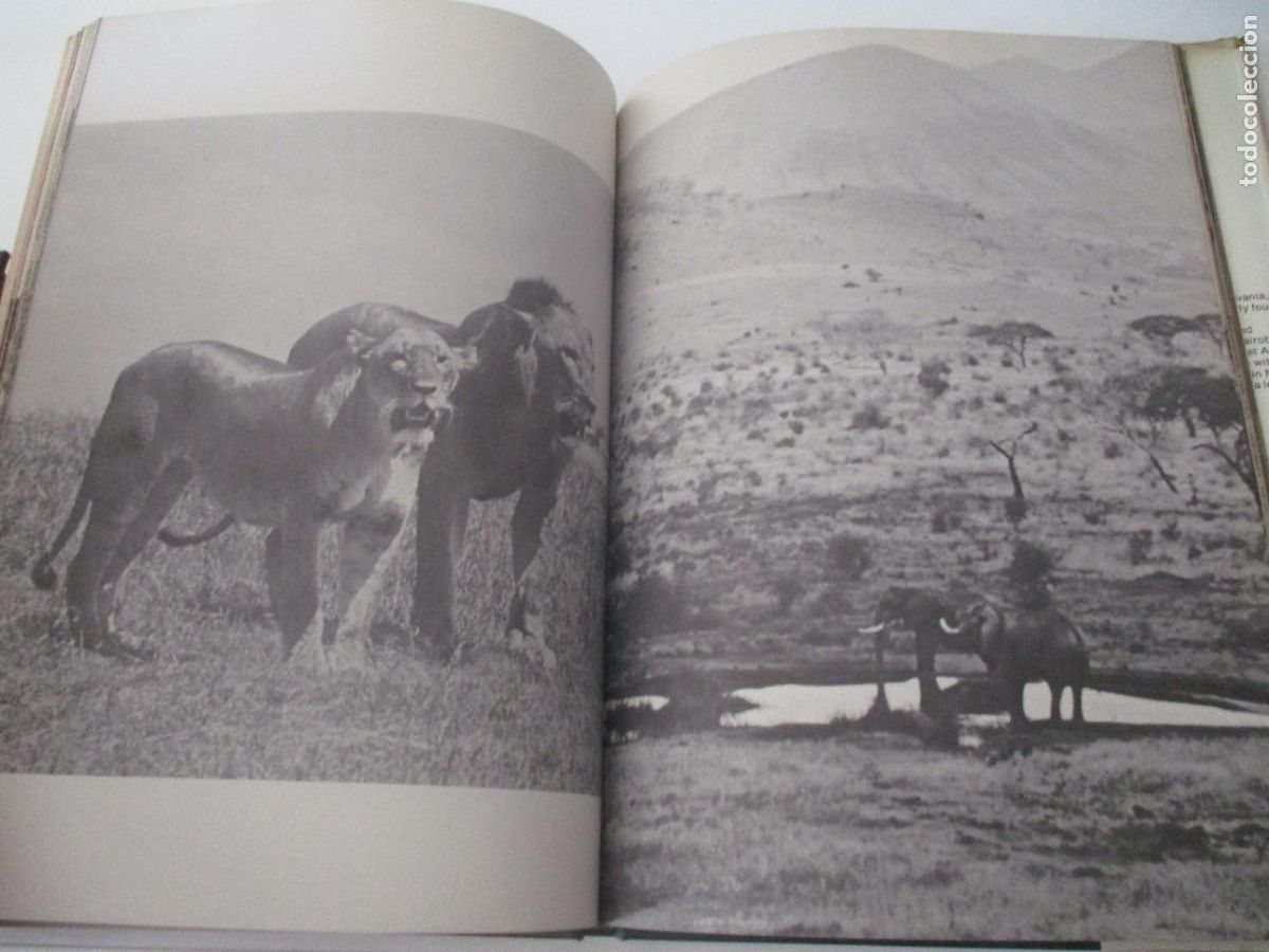 Libros de segunda mano: RICARDO MONTILLA El Tiano W17459 - Foto 5