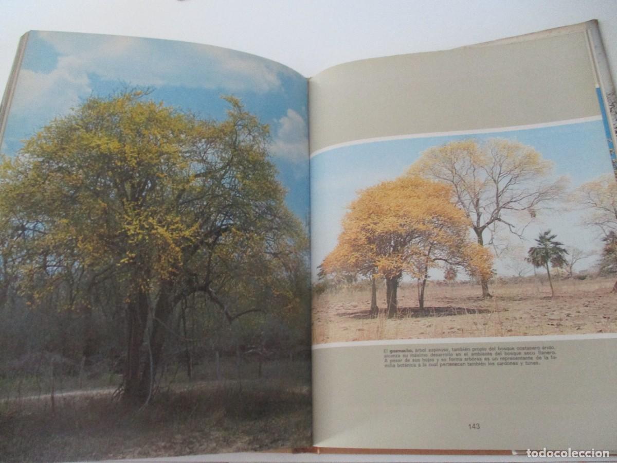 Libros de segunda mano: RICARDO MONTILLA El Tiano W17459 - Foto 6