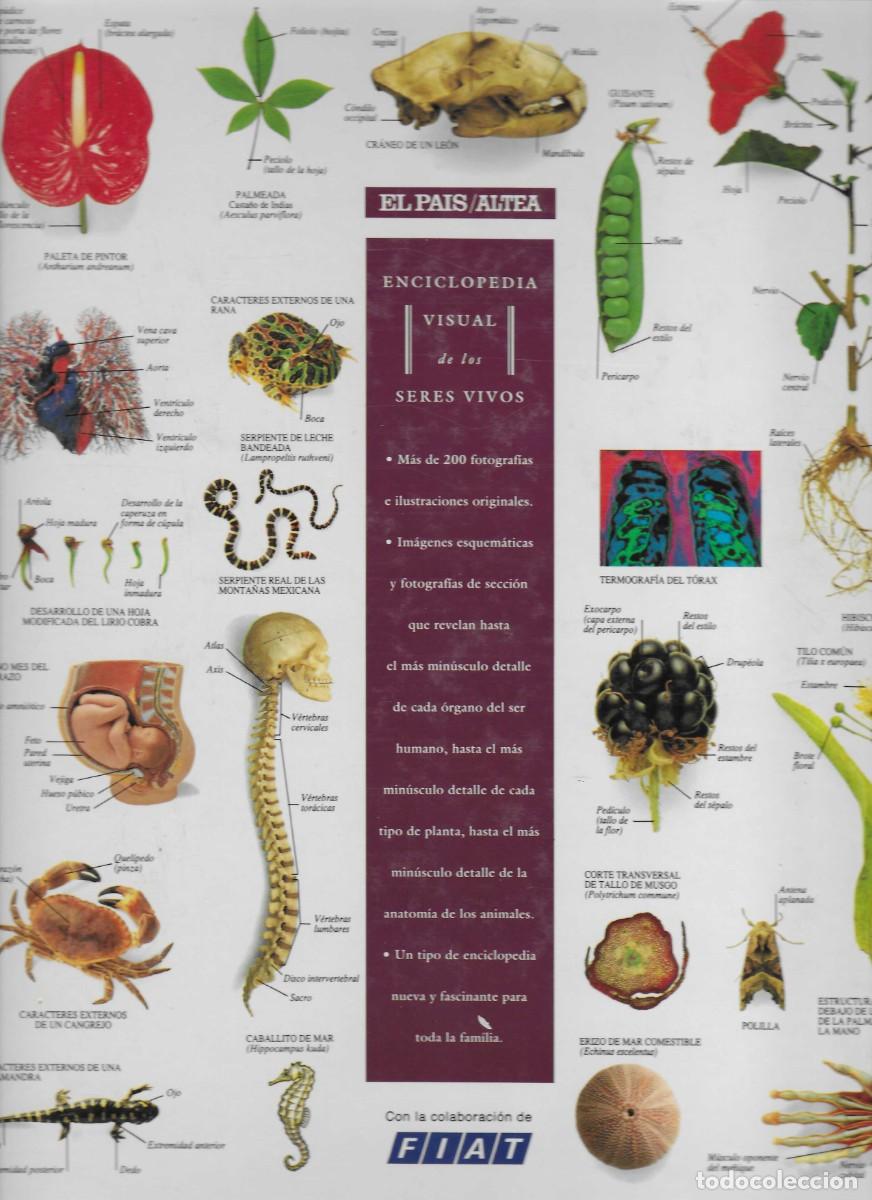 Libros de segunda mano: enciclopedia visual de los seres vivos - Foto 2