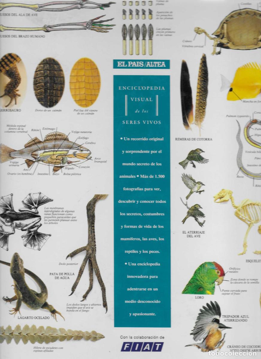 Libros de segunda mano: enciclopedia visual de los seres vivos (tomo 2) - Foto 2
