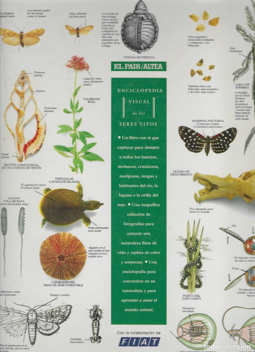 Libros de segunda mano: enciclopedia visual de los seres vivos (tomo 3) - Foto 2
