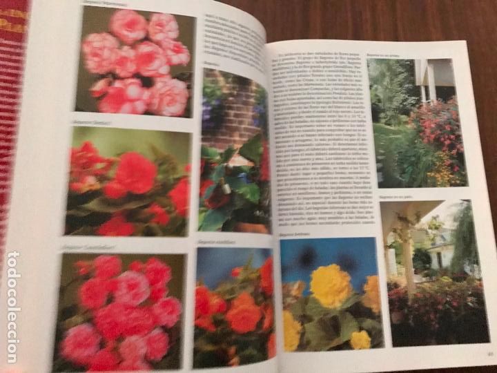 Libros de segunda mano: LA ENCICLOPEDIA DE LAS PLANTAS BULBOSAS , EDITORIAL LIBSA - Foto 3