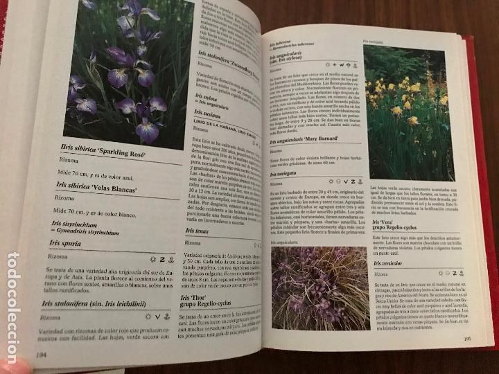 Libros de segunda mano: LA ENCICLOPEDIA DE LAS PLANTAS BULBOSAS , EDITORIAL LIBSA - Foto 4