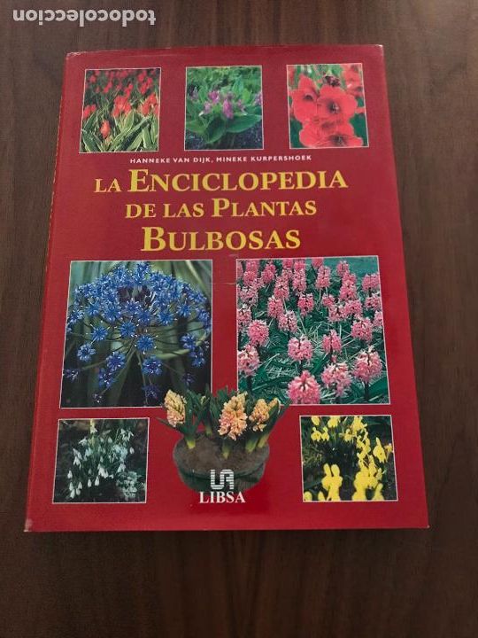 Libros de segunda mano: LA ENCICLOPEDIA DE LAS PLANTAS BULBOSAS , EDITORIAL LIBSA - Foto 1