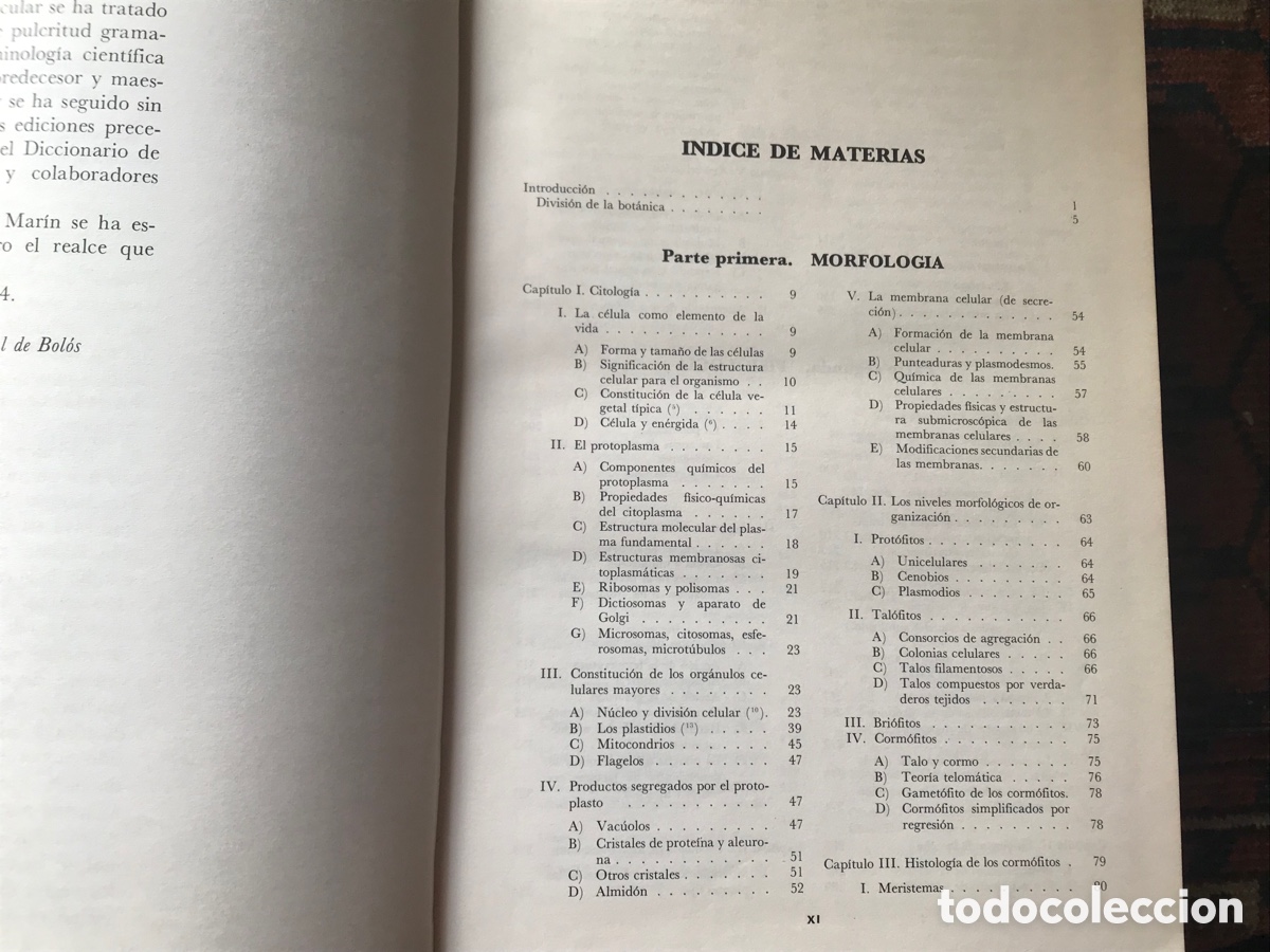 Libros de segunda mano: Tratado de Bot&aacute;nica. Strasburger. Mar&iacute;n - Foto 3