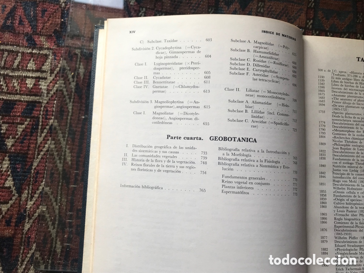 Libros de segunda mano: Tratado de Bot&aacute;nica. Strasburger. Mar&iacute;n - Foto 5