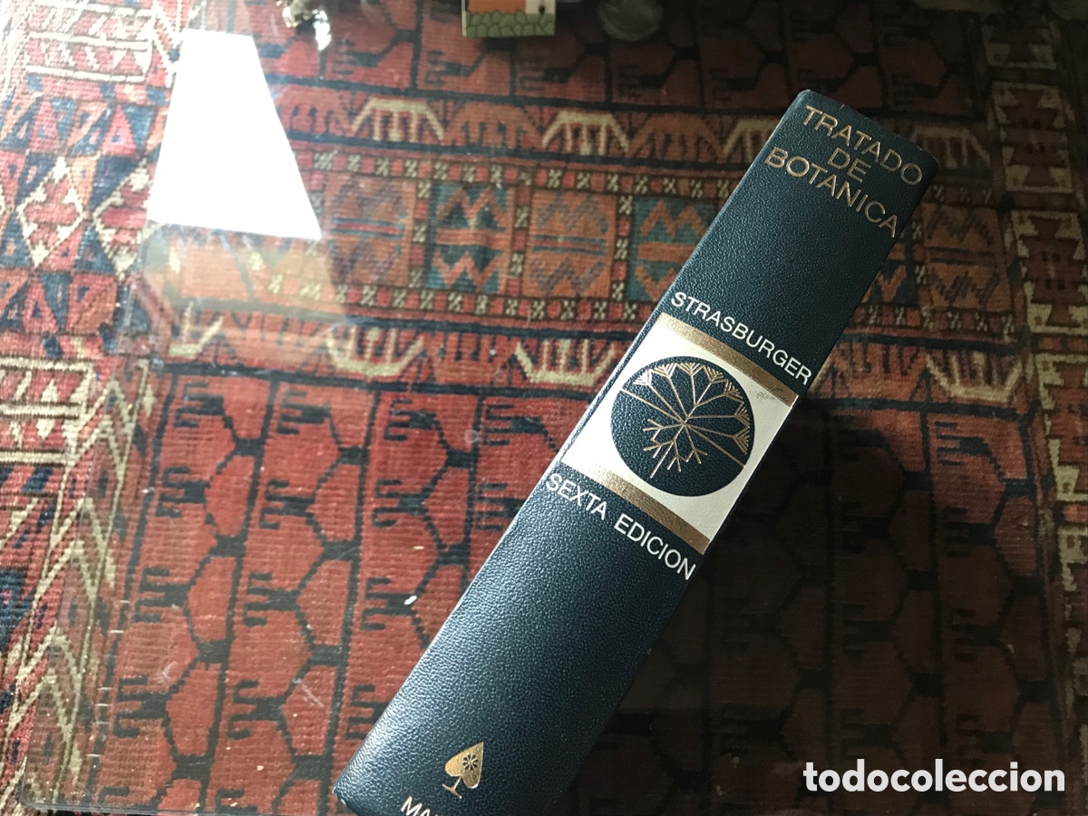Libros de segunda mano: Tratado de Bot&aacute;nica. Strasburger. Mar&iacute;n - Foto 1
