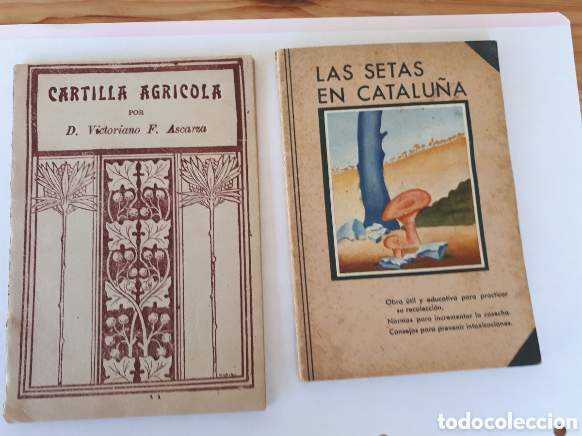 Libros de segunda mano: Dos libros las setas en Catalu&ntilde;a y cartilla c3 - Foto 1