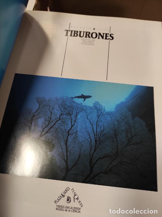 Libros de segunda mano: Tiburones, de John Stevens y Tony Pyrzakowski. - Foto 3