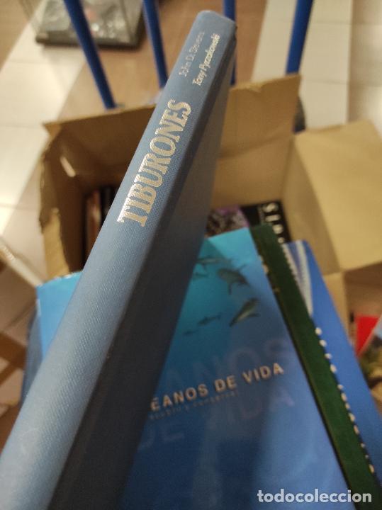 Libros de segunda mano: Tiburones, de John Stevens y Tony Pyrzakowski. - Foto 1