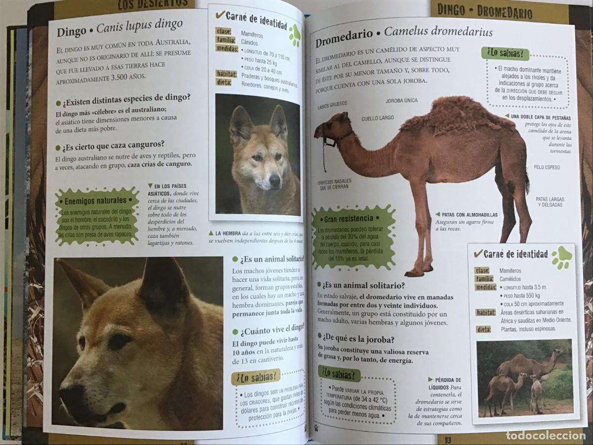 Libros de segunda mano: POR QU&Eacute;, C&Oacute;MO Y D&Oacute;NDE DE LOS ANIMALES / SERVILIBRO - Foto 4