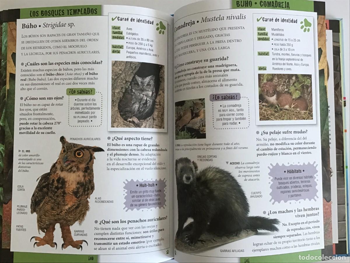 Libros de segunda mano: POR QU&Eacute;, C&Oacute;MO Y D&Oacute;NDE DE LOS ANIMALES / SERVILIBRO - Foto 5