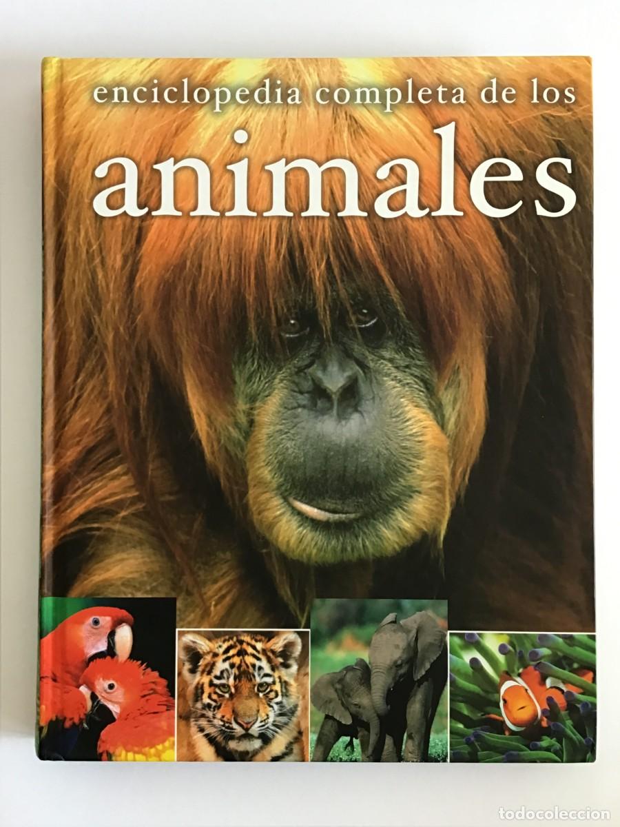 Libros de segunda mano: ENCICLOPEDIA COMPLETA DE LOS ANIMALES / SM - Foto 1