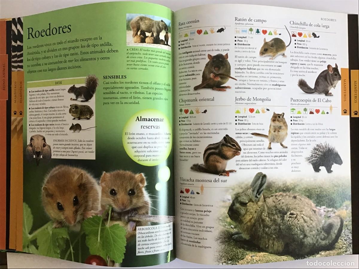 Libros de segunda mano: ENCICLOPEDIA COMPLETA DE LOS ANIMALES / SM - Foto 3